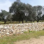 La Gemma Del Sud *