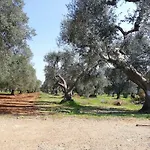 La Gemma Del Sud *