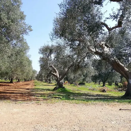 La Gemma Del Sud *