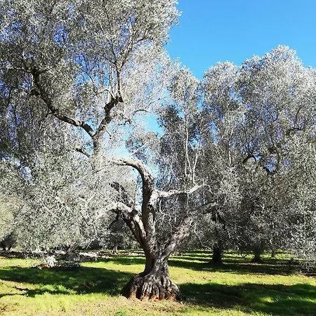 La Gemma Del Sud * Avetrana