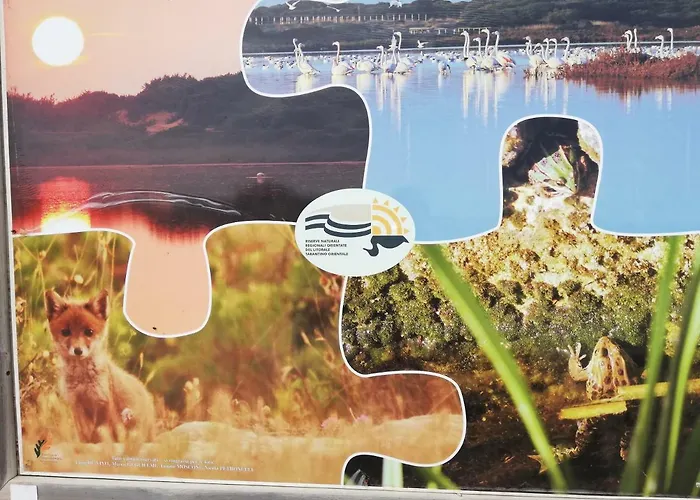 Bed & Breakfast La Gemma Del Sud Avetrana