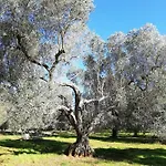 La Gemma Del Sud * Avetrana