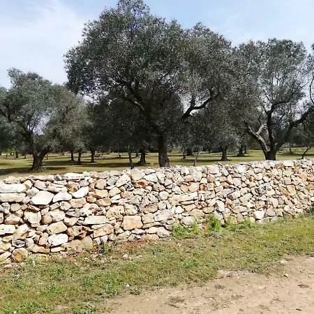 La Gemma Del Sud *