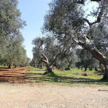 La Gemma Del Sud *