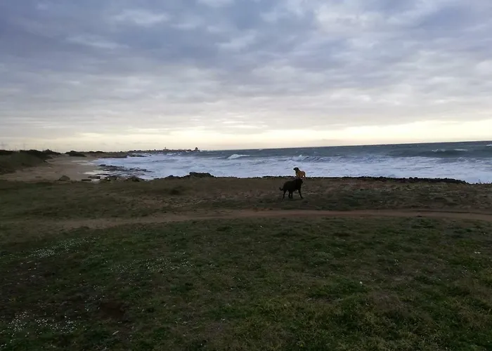 La Gemma Del Sud Bed & Breakfast *