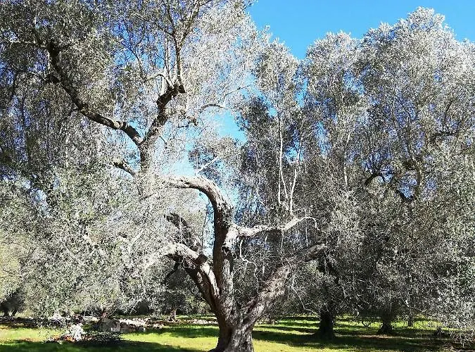 La Gemma Del Sud * أفيترانا